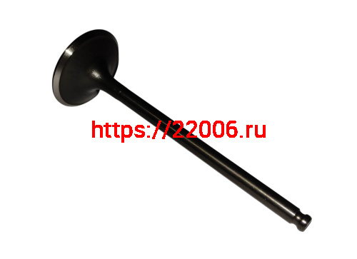 Клапан впускной CB300RL ZS175FMN (100134048) Клапан впускной CB300RL ZS175FMN (100134048)