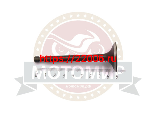 Клапан впускной 173F Клапан впускной 173F