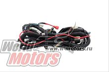 Проводка центральная трицикл WM250ZH-2