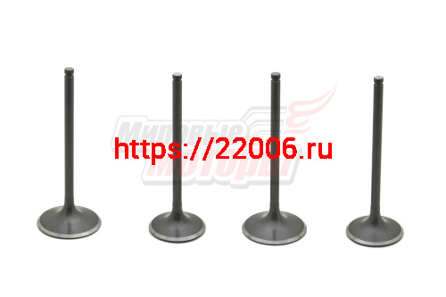 Клапаны (впуск/выпуск) 194MQ (NC450) Клапаны (впуск/выпуск) 194MQ (NC450)