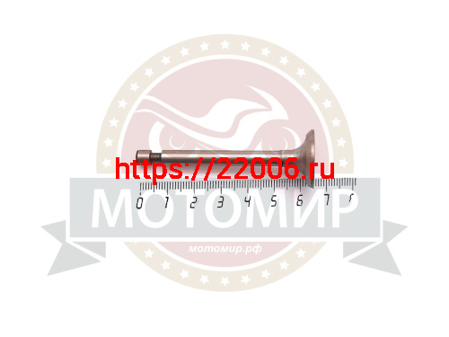 Клапан выпускной 160F диаметр 20 мм (14412) Клапан выпускной 160F диаметр 20 мм (14412)