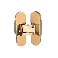 Петля Armadillo (Армадилло) скрытой установки U3D2000.TG FSG/2 флор. золото/2