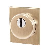 Броненакладка Armadillo (Армадилло) DEF.USS/K.25 (Protector/USS) FSG флорентийское золото