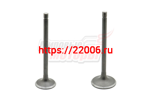 Клапаны (впуск/выпуск) 162FMJ 150см3