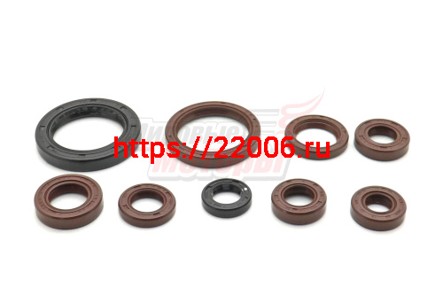 Набор сальников 194MQ (NC450) Набор сальников 194MQ (NC450)